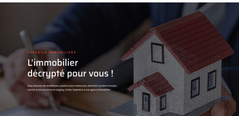 https://www.conseilsimmobilier.net